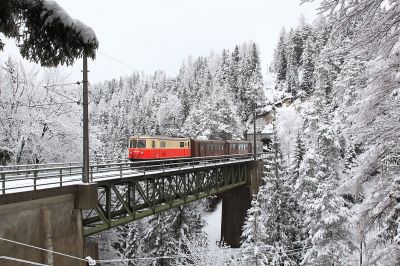 Bürgeralpe am Raingraben
Die 1099.14 zieht ihren Zug bestehen aus Ötscherbärenwagen über die Raingrabenbrücke.
Schlüsselwörter: 1099.14, Bürgeralpe, Raingraben