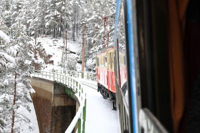 im Schnee
der Dirndltaler hier zwischen Erlaufklause und Lassing-Kienbach
Schlüsselwörter: 1099.001, Dirndltaler