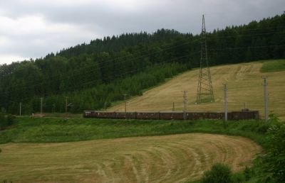 Schlüsselwörter: 1099 , oetschabaer , ötscherbär , 013 , noevog