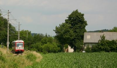 5090.15 am Weg von St.Pölten nach Frankenfels kurz nach der Hst. Kammerhof
Schlüsselwörter: 5090 , 15 , noevog , növog