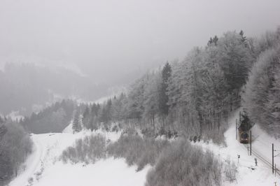 Unbekannt gebliebener ET am Weg nach Laubenbachmühle
Schlüsselwörter: et , himmelstreppe