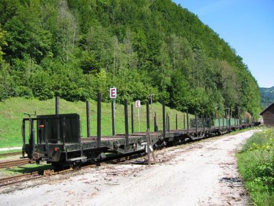 SSm/s Wagen in Opponitz
SSm/s Wagen warten in Opponitz darauf mit Baumstämmen beladen zu werden .

Schlüsselwörter: Güter , Güterwagen