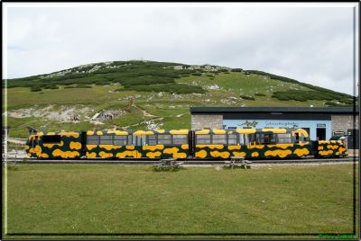 Schneebergbahn
Der Salamander-Triebzug im Bahnhof Hochschneeberg
Schlüsselwörter: Schneebergbahn, Salamander, Hochschneeberg