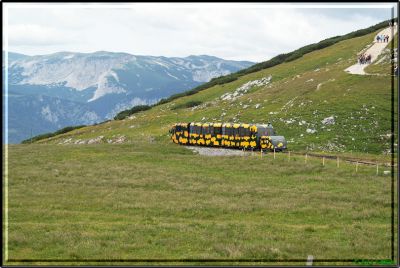 Schneebergbahn
Der "Salamander" talwärts unterwegs
Schlüsselwörter: Schneebergbahn, Salamander, Hochschneeberg