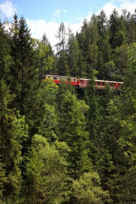 im Einklange mit der Natur
nur kurz blickt der Zug hier am Raingraben durch, obgleich er gerade ein weites Tal übersetzt.
Schlüsselwörter: 1099.004, Gösingpendler, Raingraben