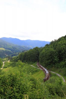 Ötescherbärli vor dem Stettenriegel-Tunnel
Der Ötscherbär fährt auf der mittleren Trasse der Nordrampe talwärts gleich in den Stettenriegel-Tunnel ein.
Schlüsselwörter: 1099.013-3 , 1099 ,  013 , Ötscherbär , Stettenriegel