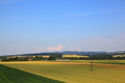 der Mariazeller Land in der weiten Ebene
Die 4090-er Garnitur in der weiten Ebene von Ober-Grafendorf
Schlüsselwörter: 4090, 6090, 7090, Mariazeller Land