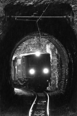 durch diesen hohlen Tunnel muß er kommen
Der Ötscherbär auf dem Rückweg ins Pielachtal kurz vor der Kehre aus dem Natters- ins Pielachtal.
Schlüsselwörter: 1099.013, Ötscherbär, Schönau