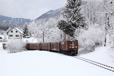 Ötscherbär bei Wienerbruck
Schlüsselwörter: 1099.013, Ötscherbär, Wienerbruck