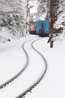 Auf Schlangenlinien
Der Dirndltaler windet sich zwischen Lassing-Kienbach Schlucht und Raingraben
Schlüsselwörter: 1099.001, Dirndltaler, Lassing-Kienbach