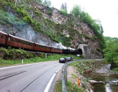 100 Jahre Mariazellerbahn
Der Sonderzug kurz vor Schwarzenbach.
