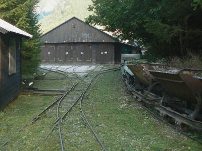 Schlüsselwörter: Feldbahn; Waldbahn; Nasswald; Naßwald