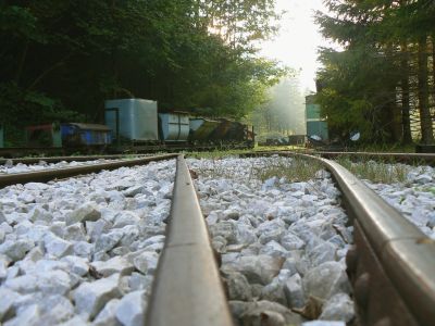 Schlüsselwörter: Feldbahn , Waldbahn , Nasswald , Naßwald