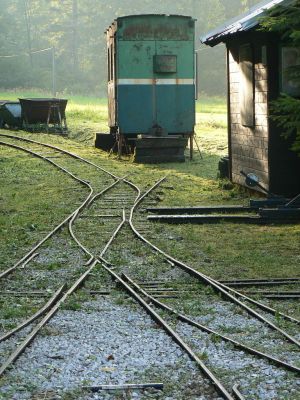 Schlüsselwörter: Feldbahn , Waldbahn , Nasswald , Naßwald