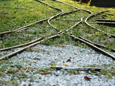 Schlüsselwörter: Feldbahn , Waldbahn , Nasswald , Naßwald